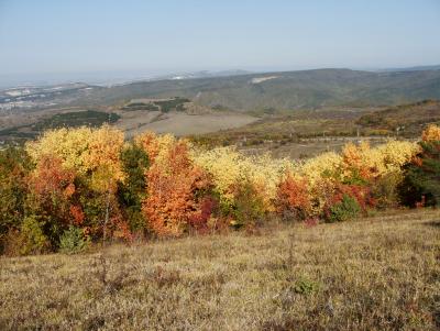 Прикрепленное изображение: DSC02590.JPG